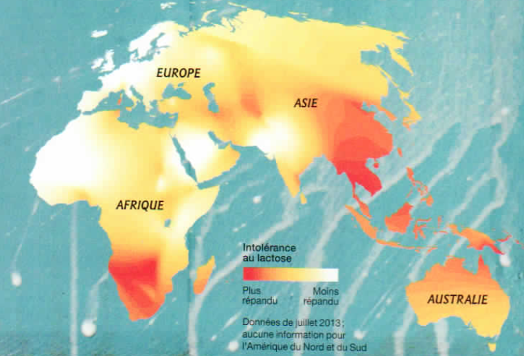 intolérance lactose sources mines paris